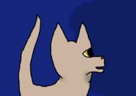  // 910x640 // 36.7KB