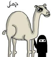  // 581x640 // 67.9KB