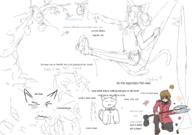  // 910x640 // 119.1KB