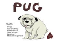  // 910x640 // 52.6KB