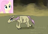  // 910x640 // 281.2KB