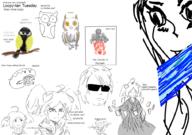  // 910x640 // 156.0KB