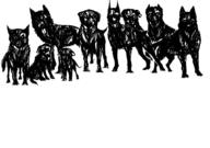  // 910x640 // 81.0KB