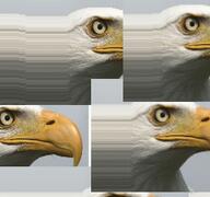 Animation // 256x240 // 462.2KB