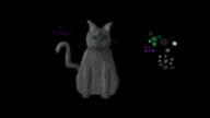  // 1280x720 // 147.0KB