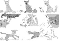  // 910x640 // 140.4KB