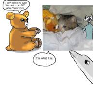  // 504x460 // 185.7KB