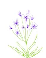  // 267x332 // 18.1KB