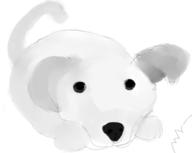  // 323x258 // 32.5KB