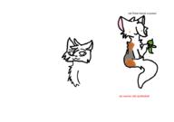  // 910x640 // 25.7KB