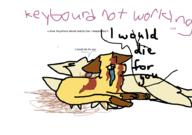  // 910x640 // 59.5KB