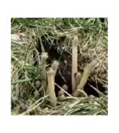  // 172x191 // 60.1KB