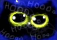  // 910x640 // 905.7KB