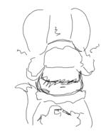  // 341x461 // 37.3KB