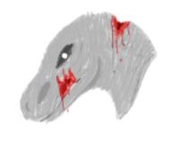  // 146x120 // 11.1KB