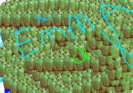  // 910x640 // 406.9KB