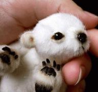 Animation // 227x213 // 379.6KB