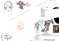  // 910x640 // 224.6KB